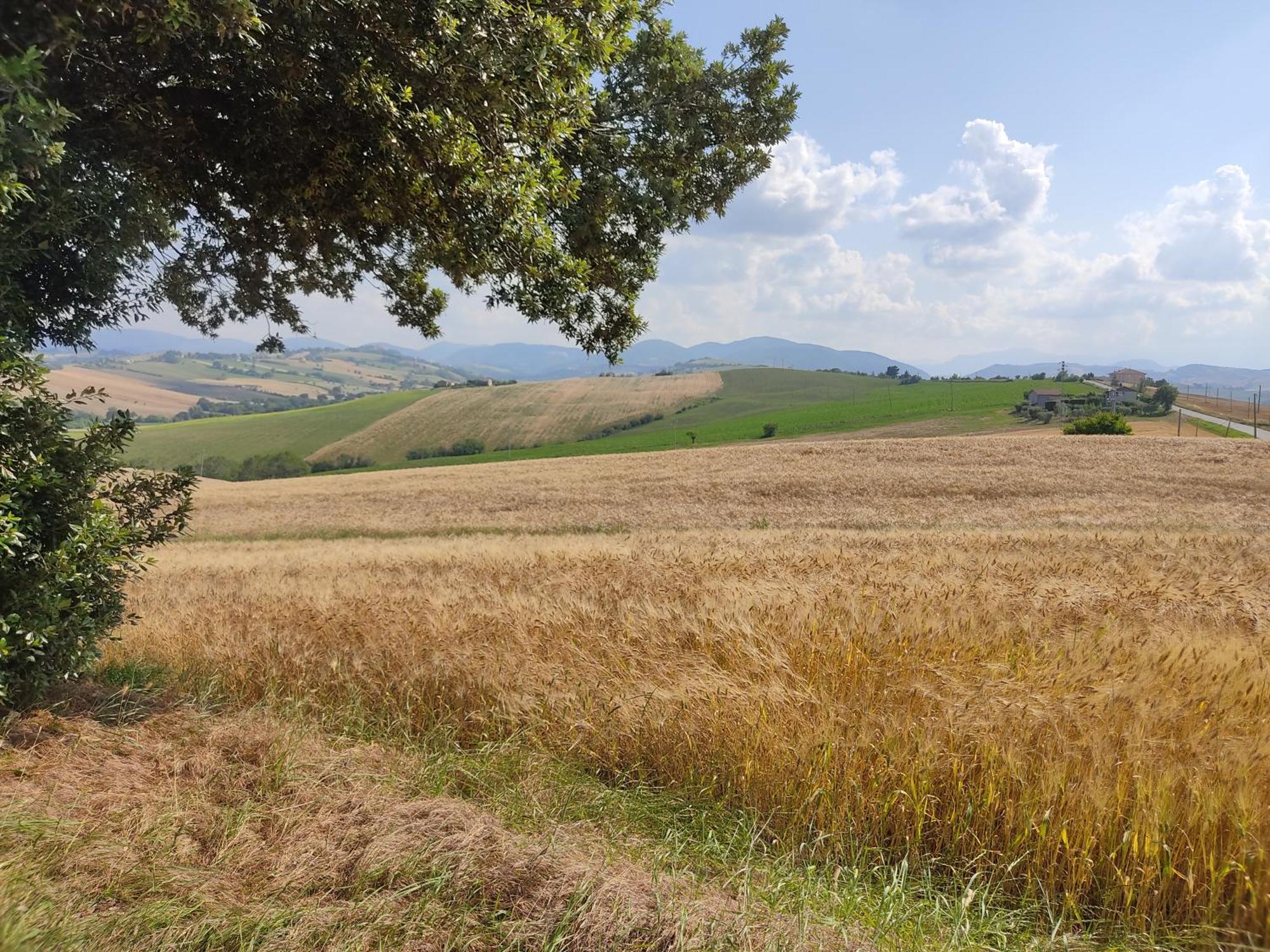 Casa Borgo Fonte Villa Castelleone di Suasa Buitenkant foto