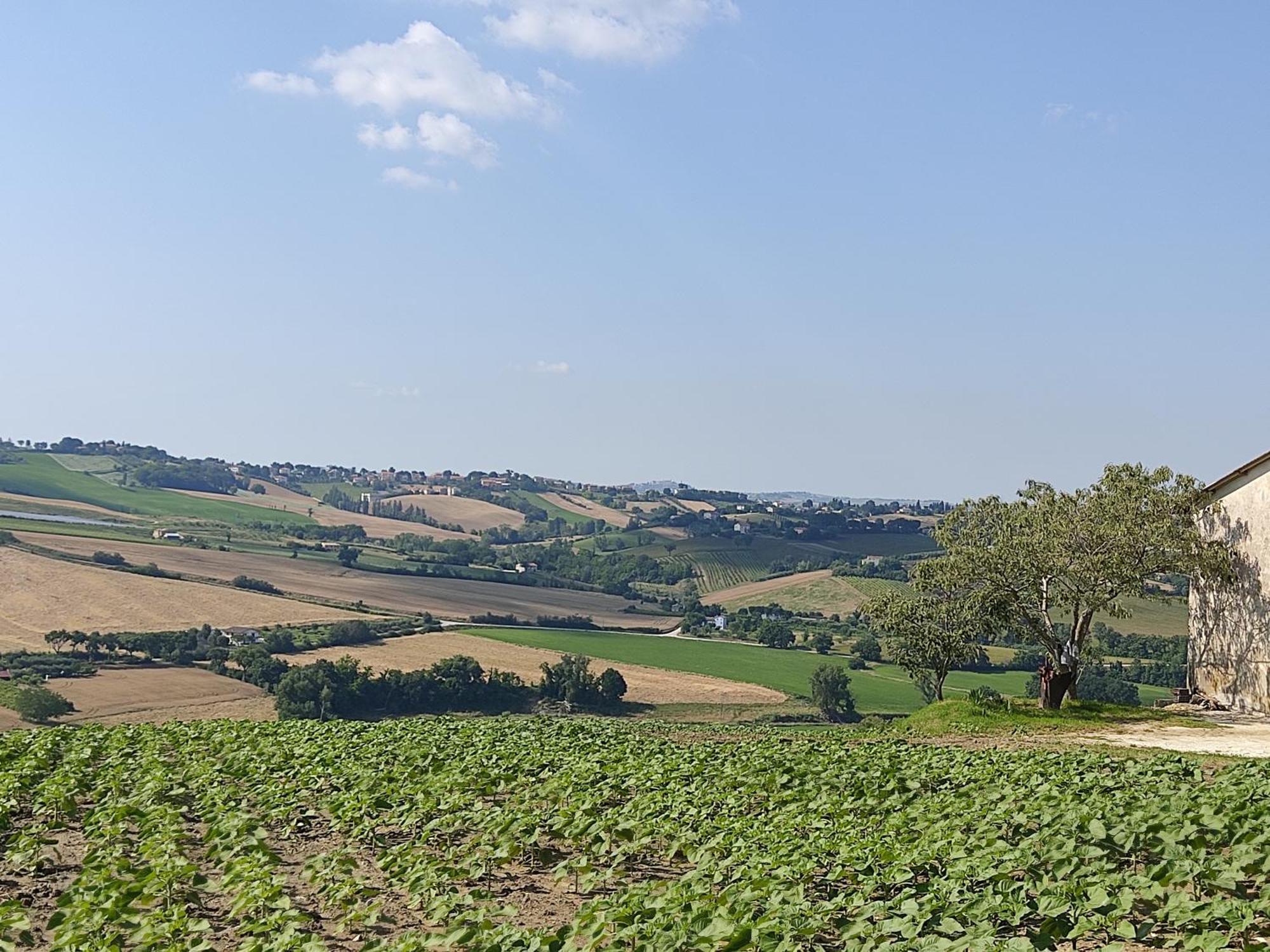 Casa Borgo Fonte Villa Castelleone di Suasa Buitenkant foto