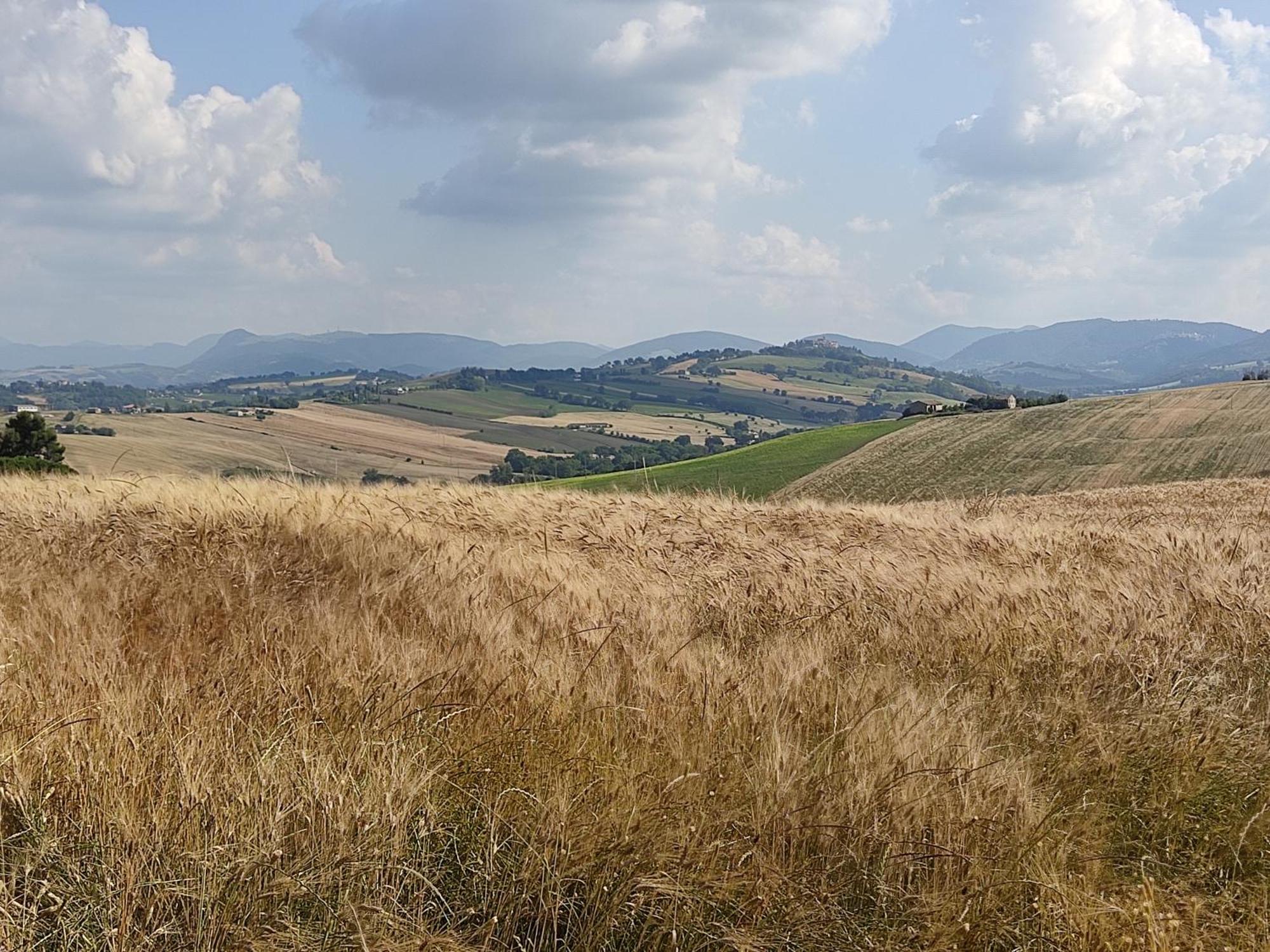 Casa Borgo Fonte Villa Castelleone di Suasa Buitenkant foto