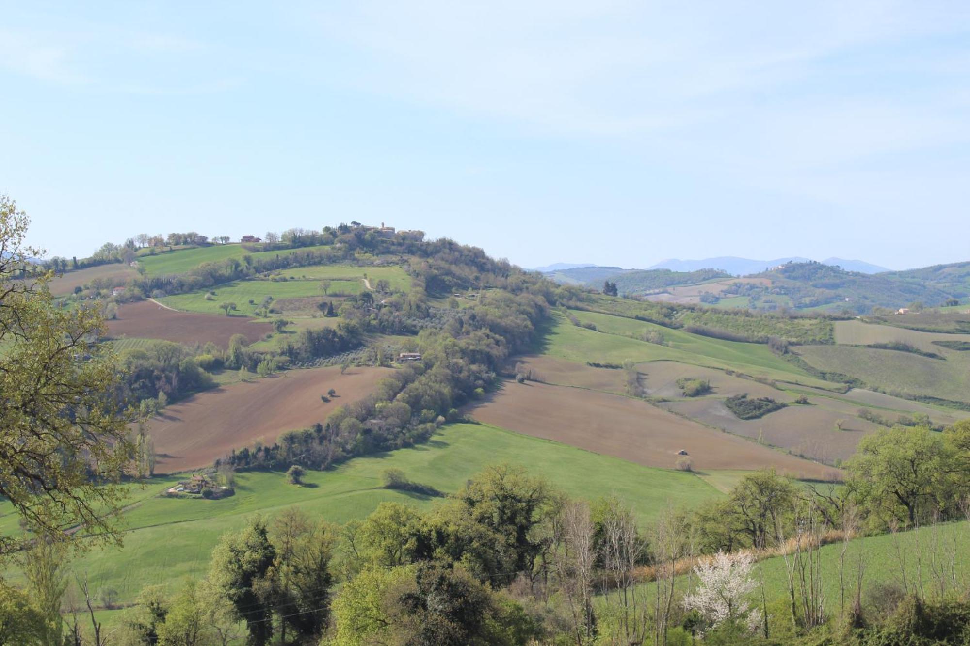 Casa Borgo Fonte Villa Castelleone di Suasa Buitenkant foto